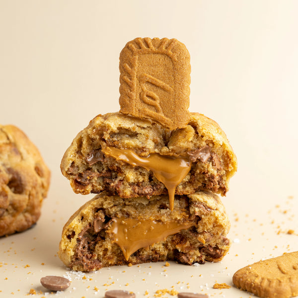 Biscoff Biscuit