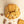 Biscoff Biscuit