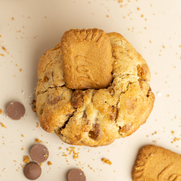Biscoff Biscuit