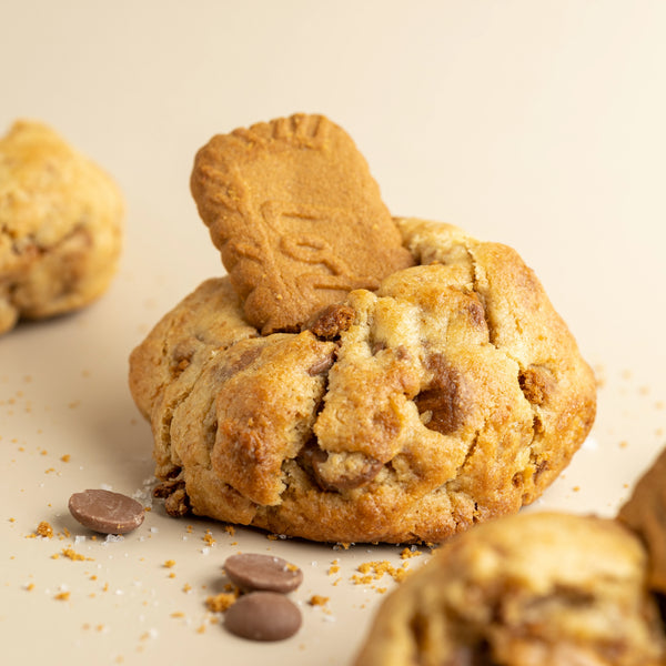 Biscoff Biscuit