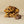 Chocolate chip