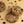 OATMEAL RAISIN